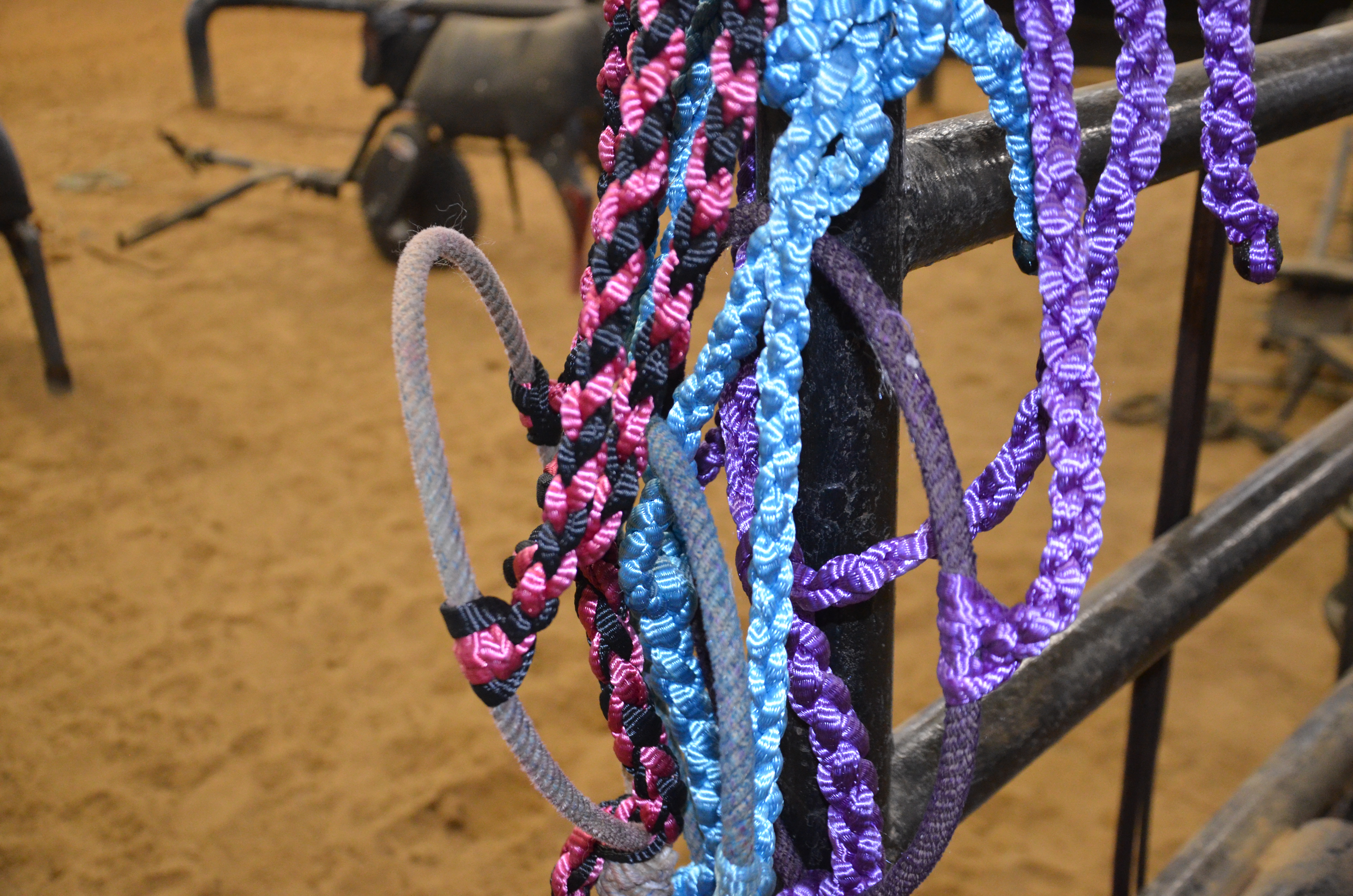 Mule Tape Rope Halter With Lead -Colored