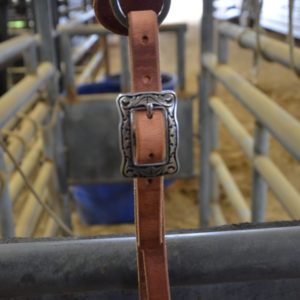 Harness Leather 2 1/2" Breast Collar