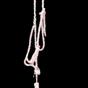 Mule Tape Halter With Lead Rope - Colored