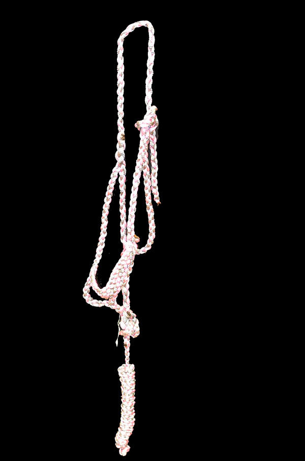 Mule Tape Halter With Lead Rope - Colored