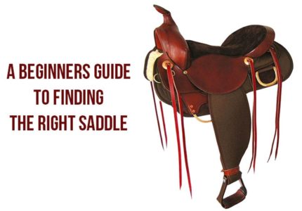 finding the right saddle