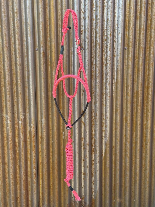 Mule Tape Halter w/Clip Fastener and Rope Nose Band 