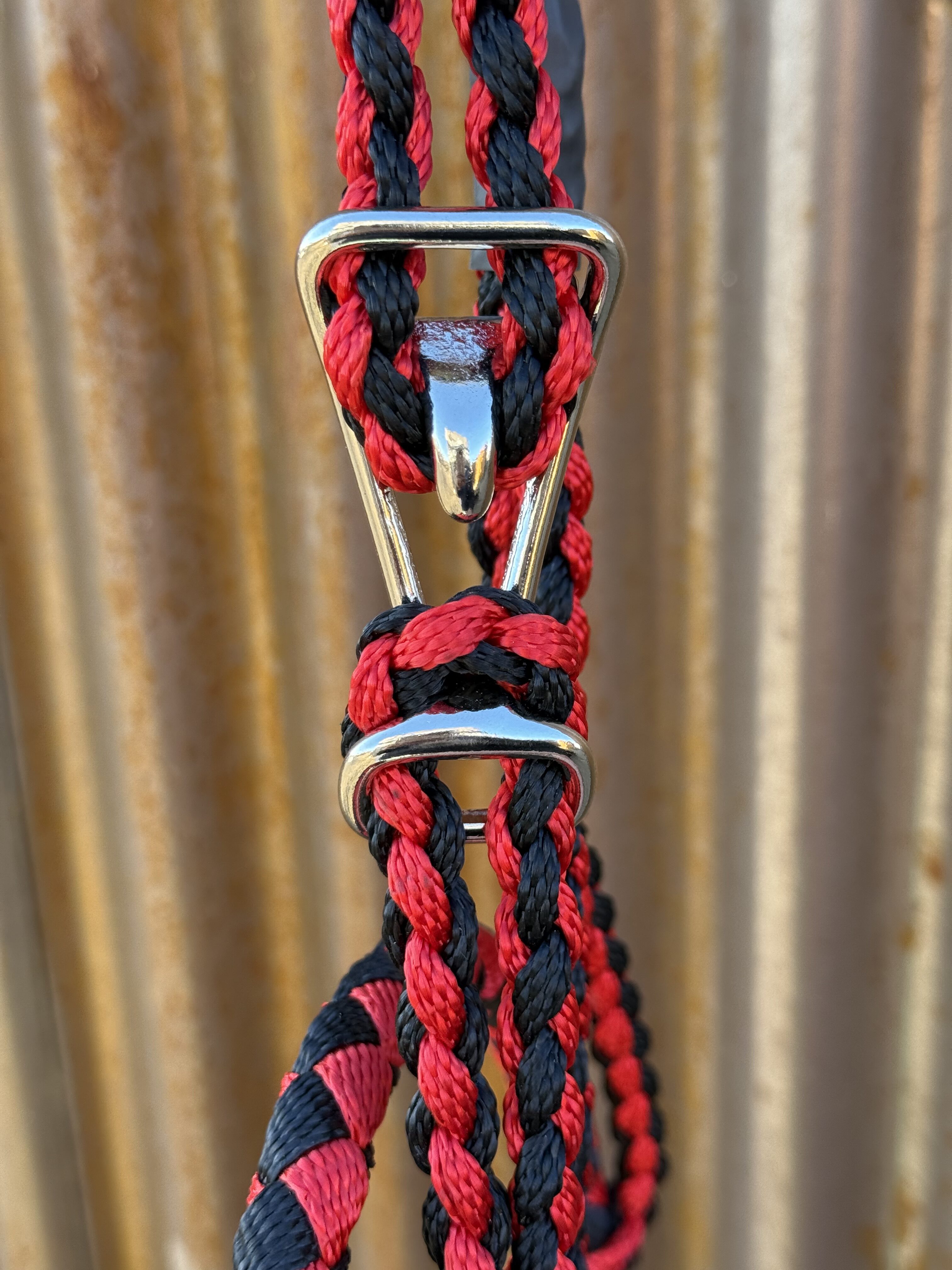 Showman \"Royal Flush\" Woven Nylon Mule Tape Halter - Carolina Tack...